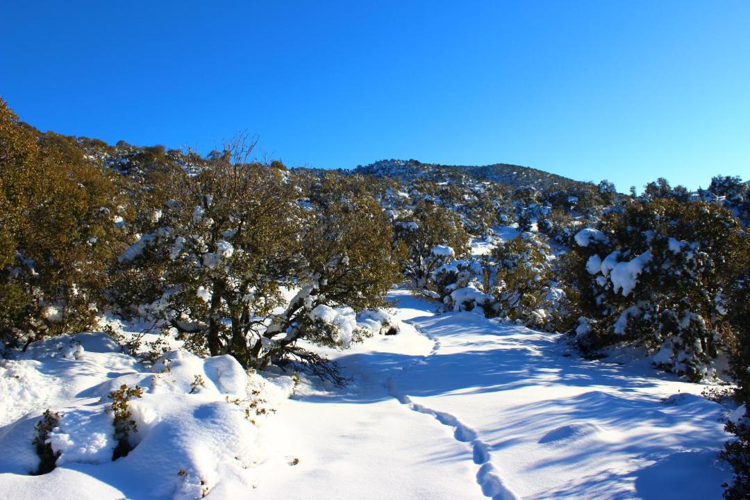 Photo of Others in Boutferda