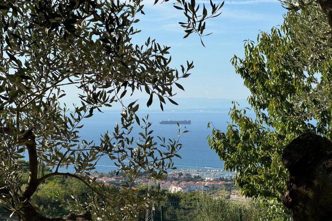 Photo of Others in Izola