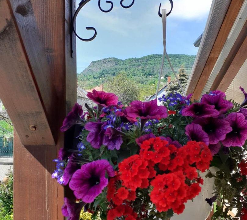 Photo of Patio Balcony in Kisapati