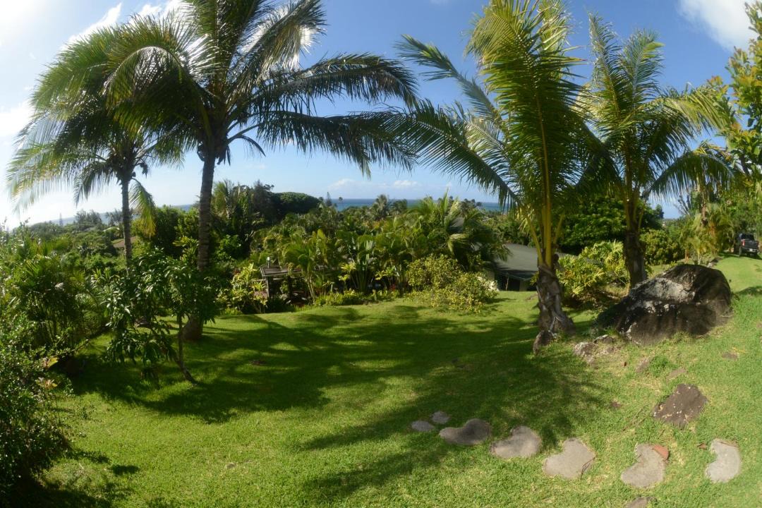 Photo of Others in Pupukea
