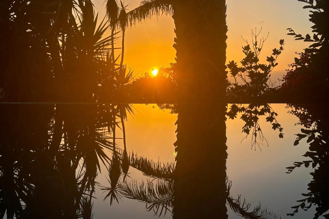 Photo of Others in Jardim do Mar