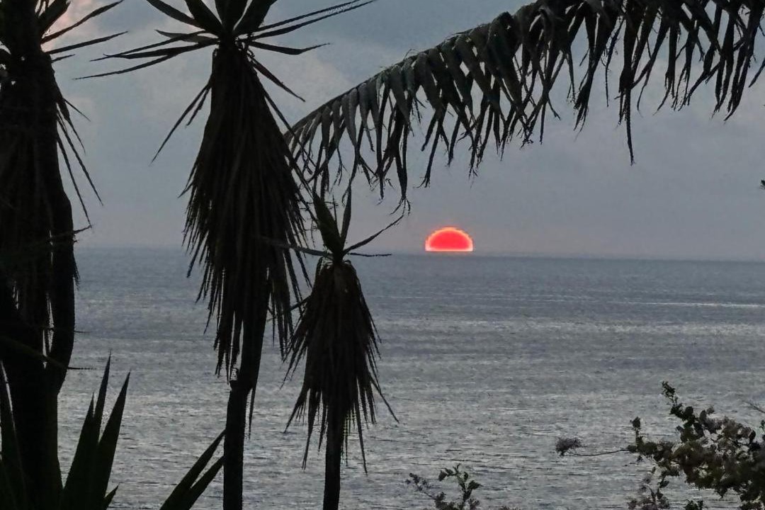 Photo of Others in Jardim do Mar