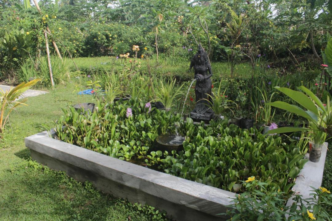 Photo of Outdoor in Ubud City-Centre