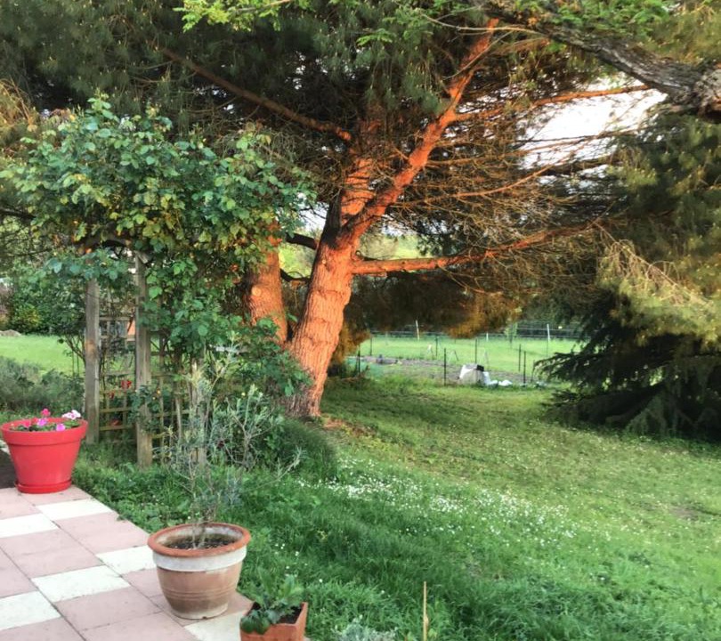 Photo of Others in Civray-de-Touraine