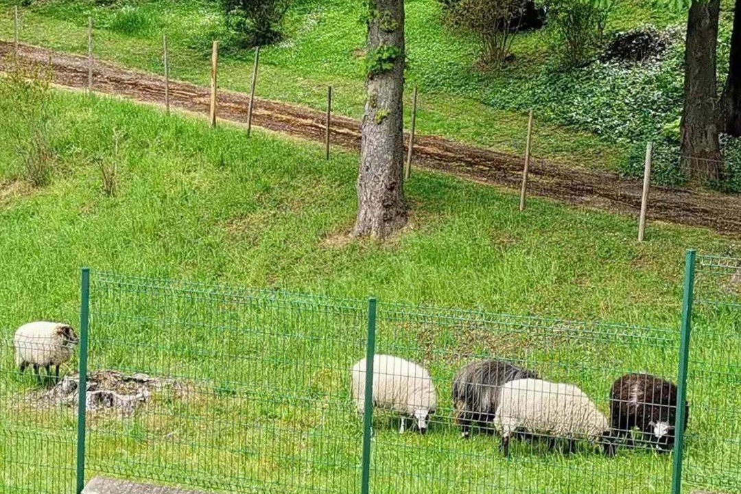 Photo of Others in Sevres