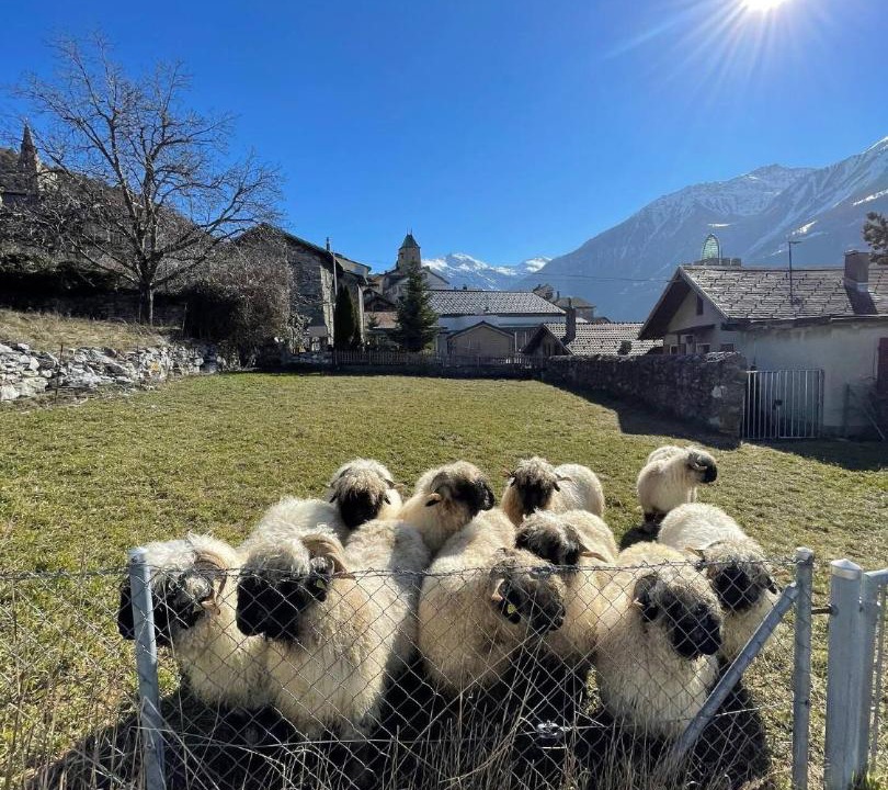 Photo of Others in Leuk