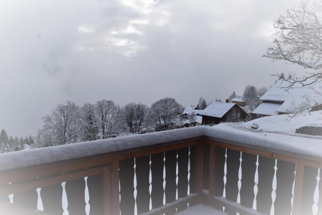 Photo of Others in Braunwald