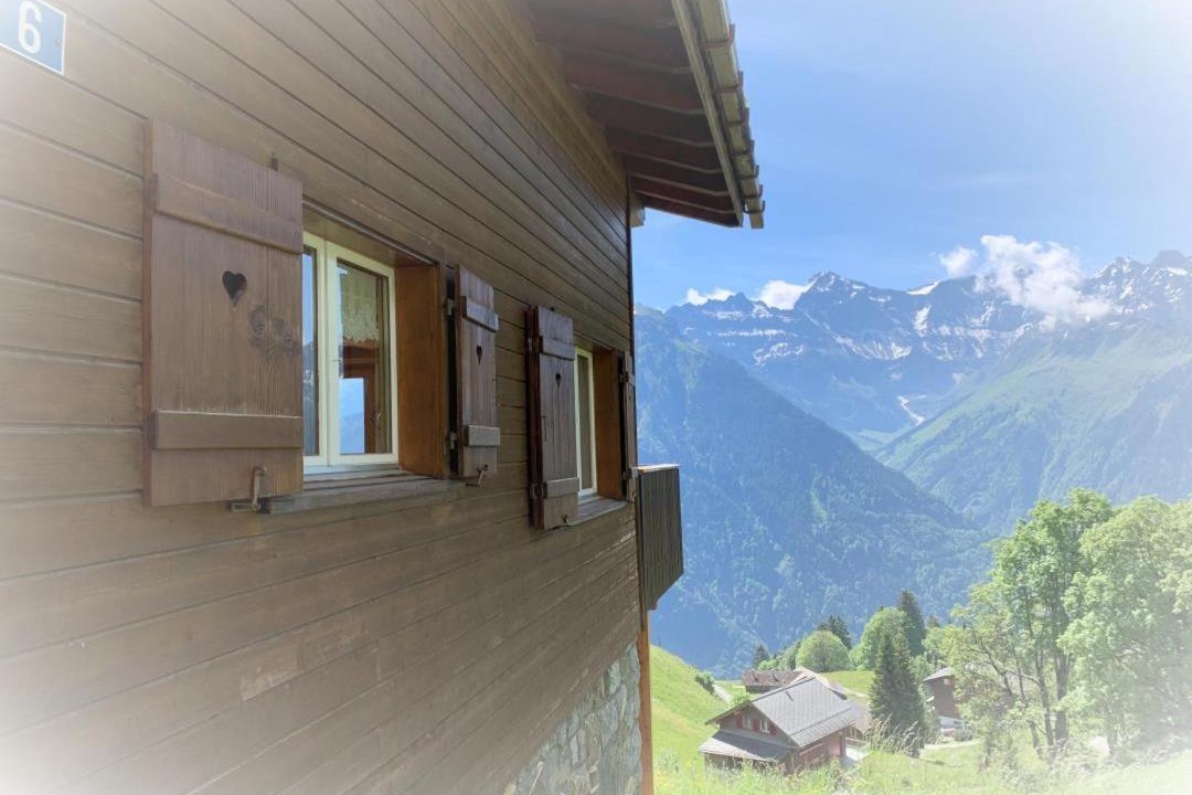 Photo of Others in Braunwald