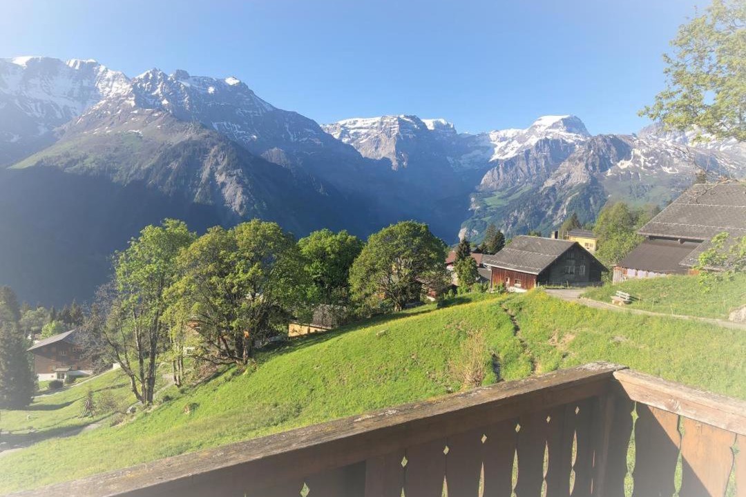 Photo of Others in Braunwald