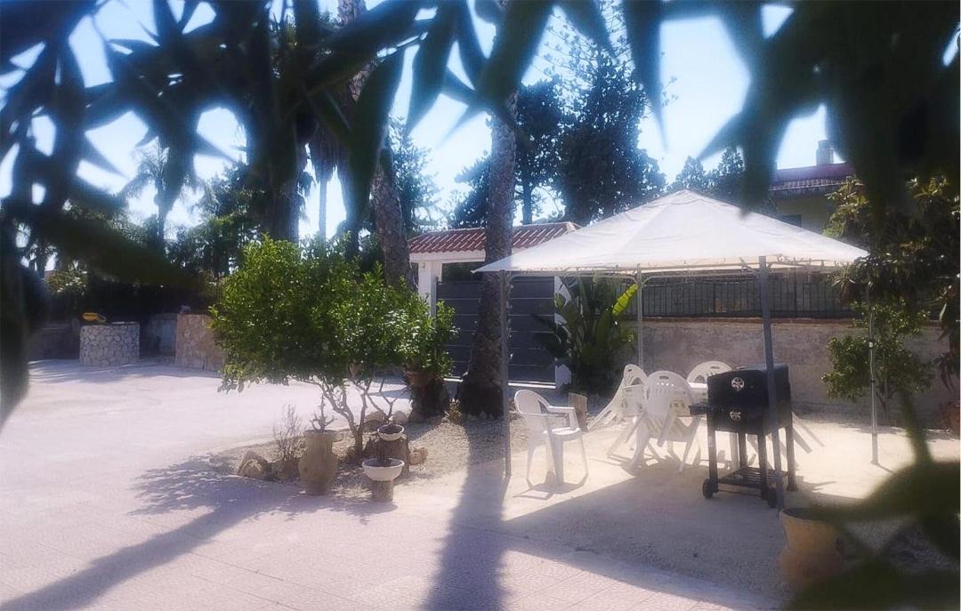 Photo of Others in Arenella