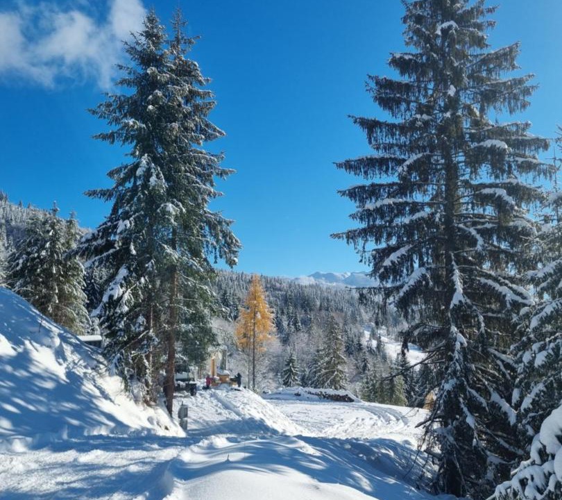 Photo of Others in Colibita