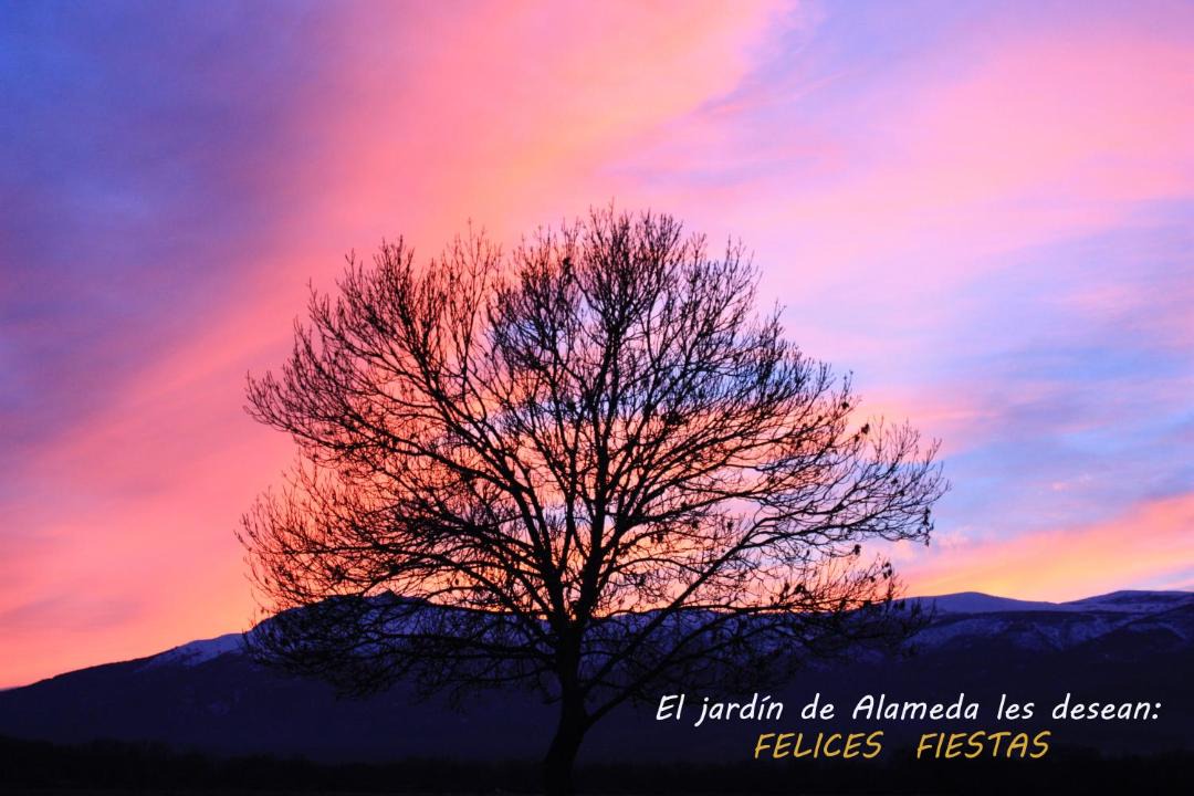 Photo of Others in Alameda del Valle