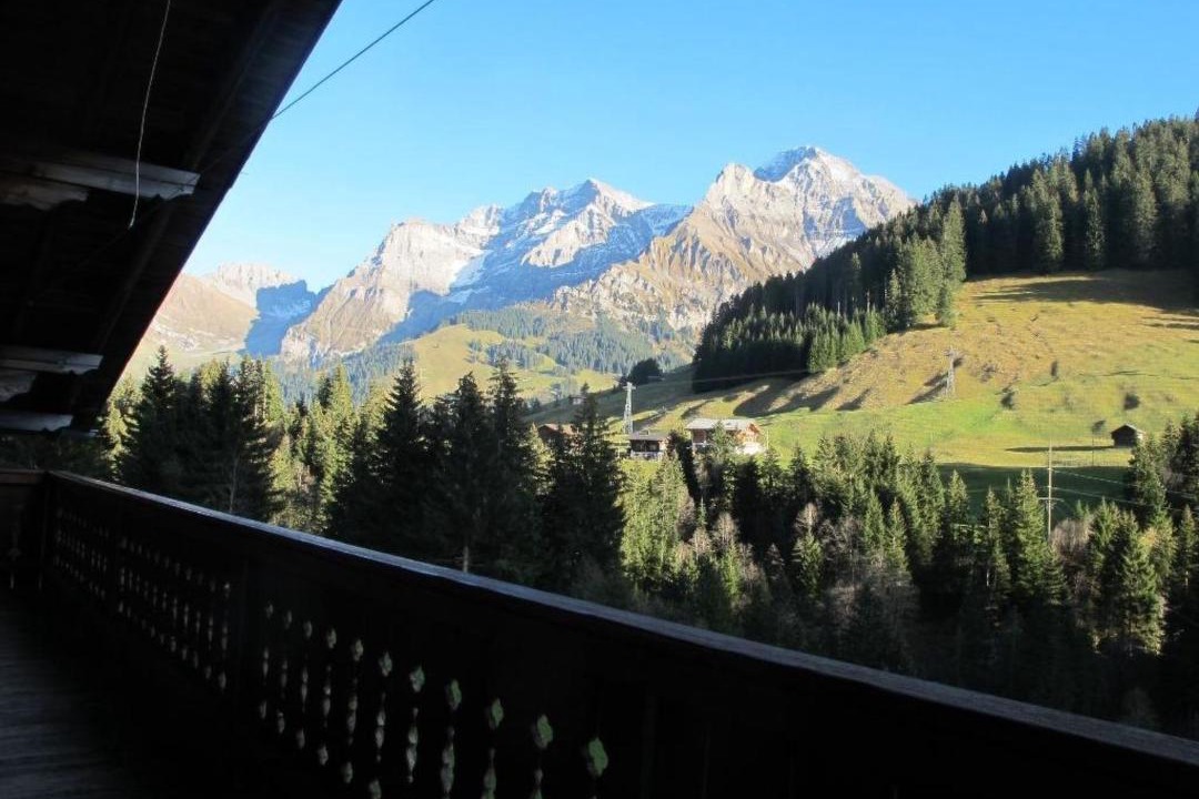 Photo of Others in Adelboden