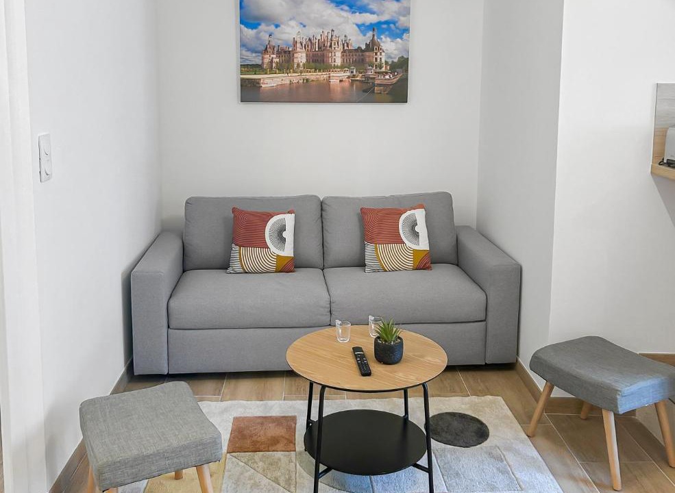Photo of Livingroom in Blois