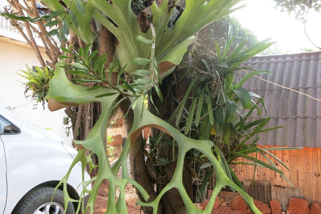 Photo of Others in Phonsavan