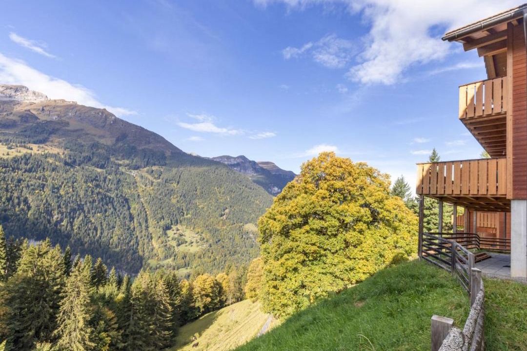 Photo of Others in Wengen