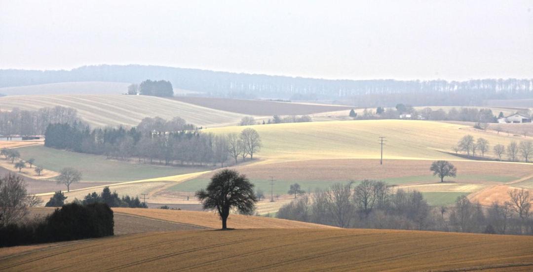 Photo of Others in Bretten