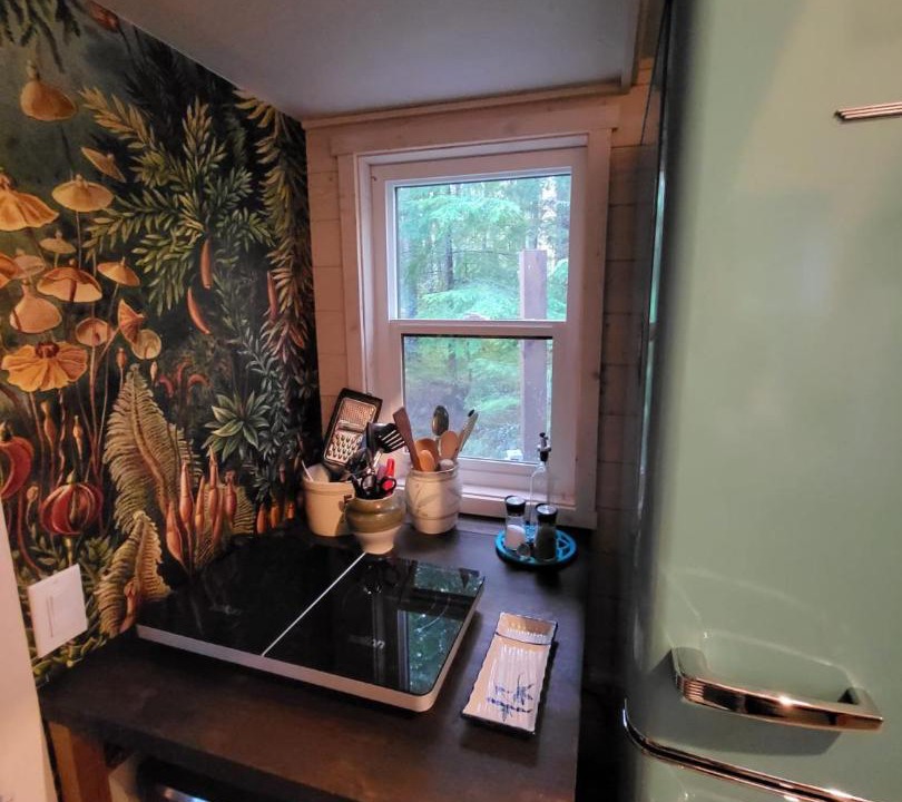 Photo of Kitchen in Central Kootenay