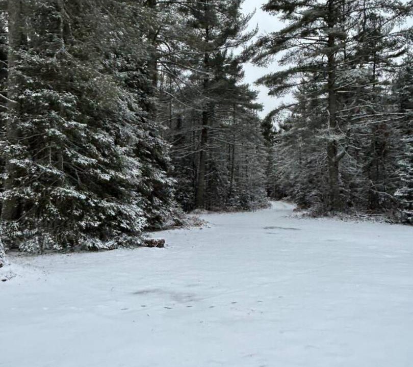 Photo of Others in Michigamme