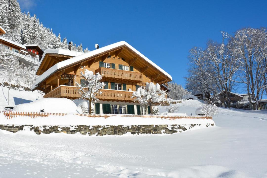 Photo of Others in Adelboden