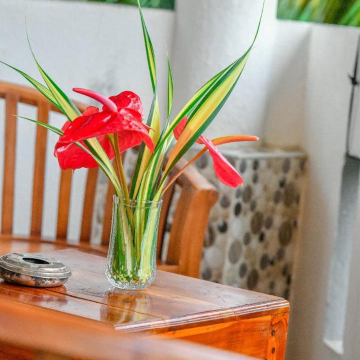 Photo of Patio Balcony in Ranna