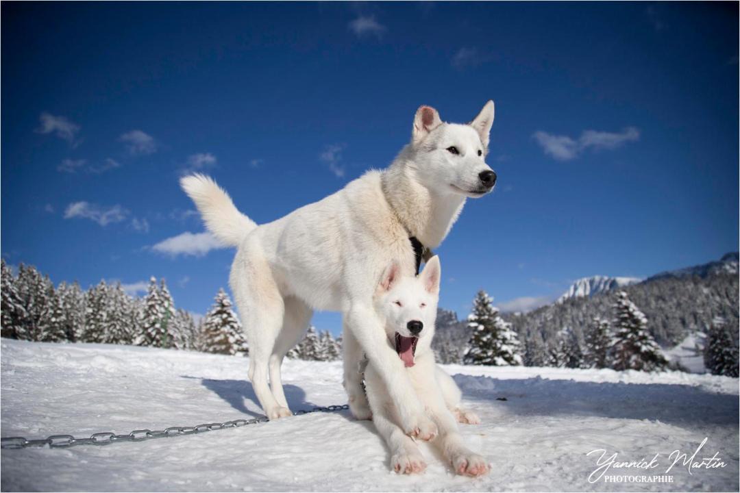 Photo of Human In Picture in Chamrousse