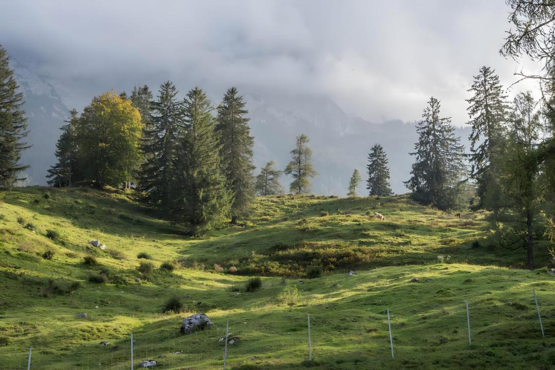 Photo of Others in Ehlenbogen