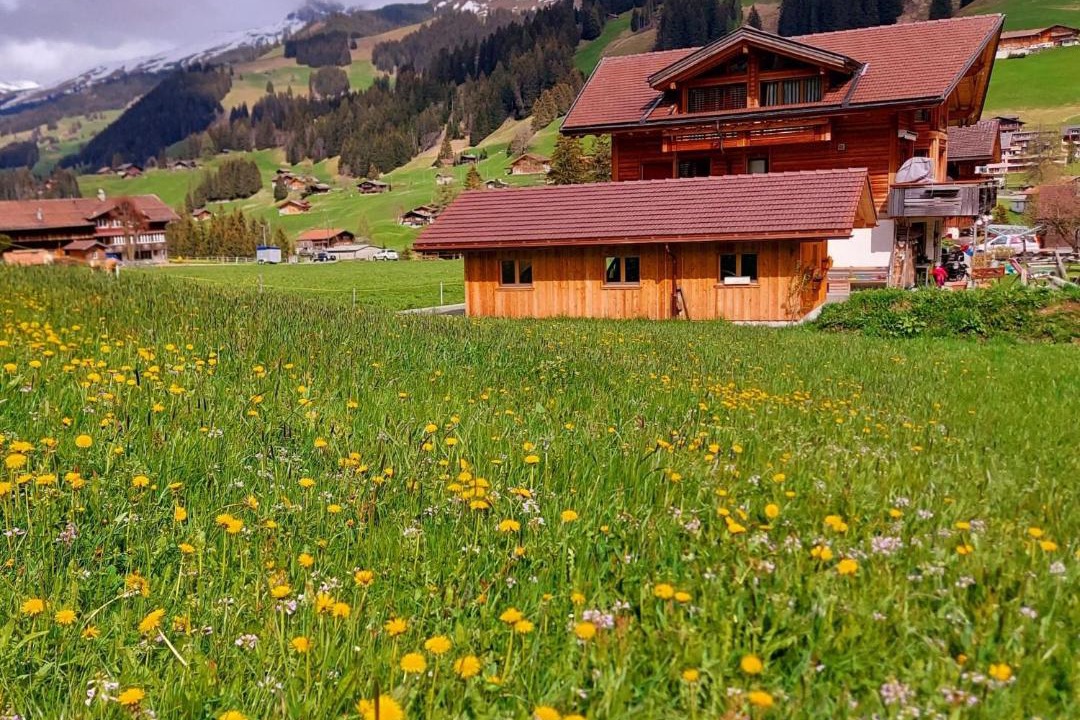 Photo of Others in Adelboden