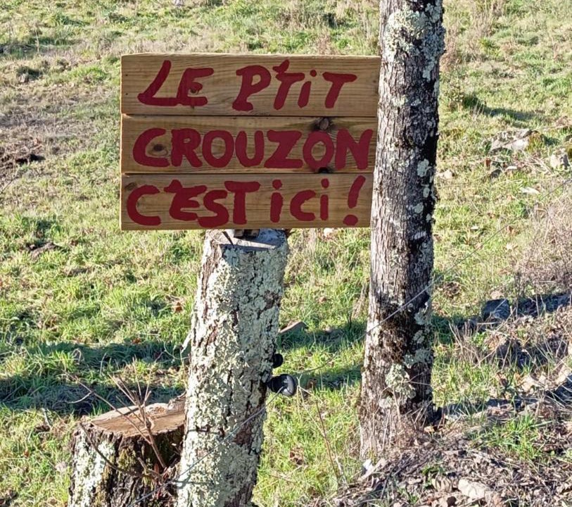 Photo of Others in Prades