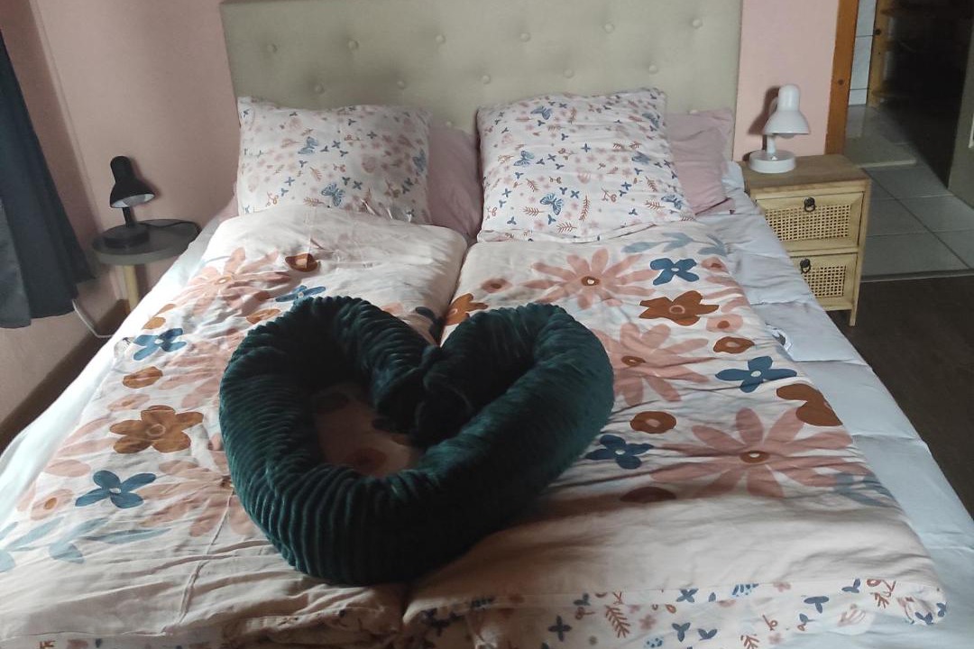 Photo of Bedroom in Valdieu-Lutran