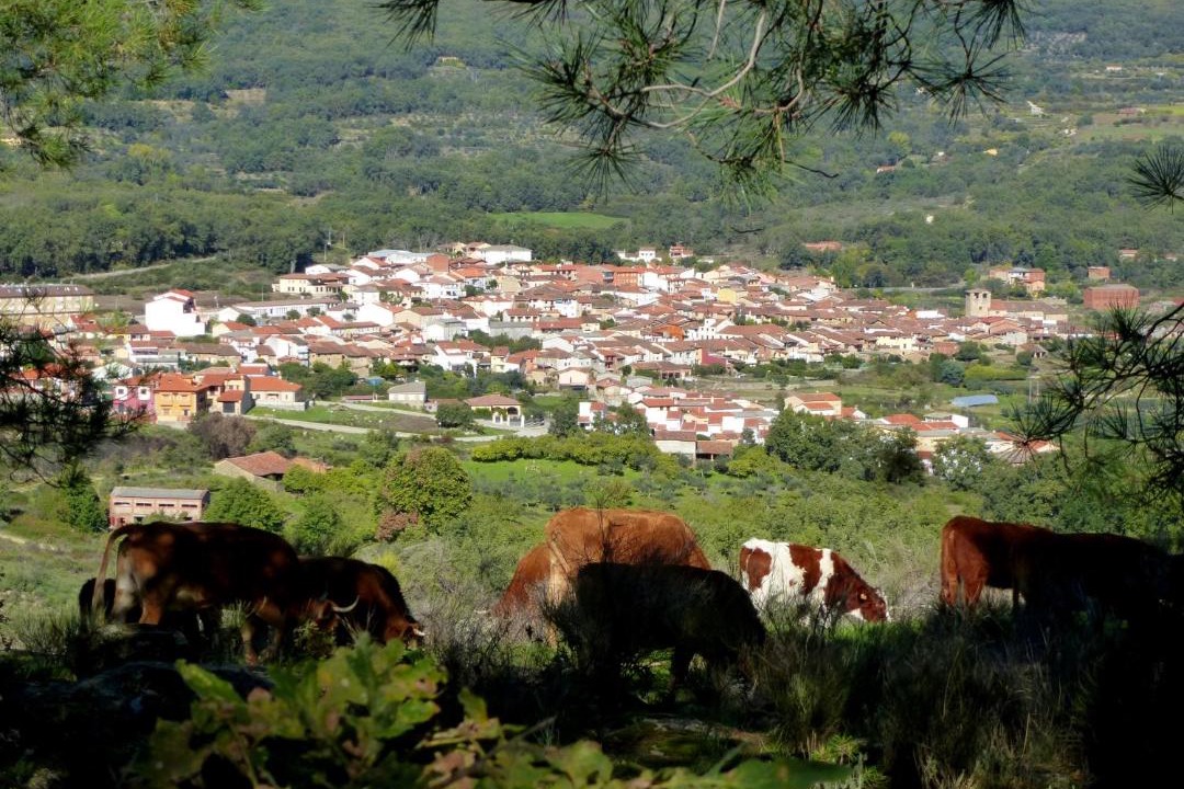 Photo of Buildings in Cuacos de Yuste