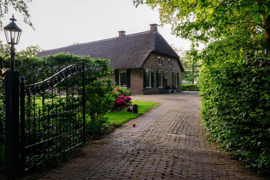 Photo of Others in Havelte