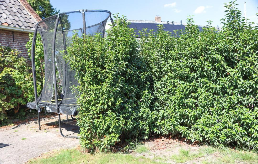 Photo of Outdoor in Diever