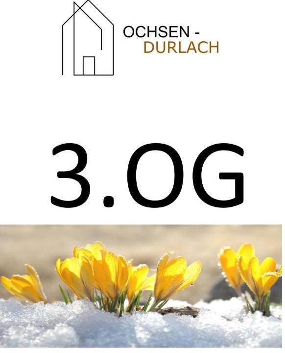 Photo of Others in Alt-Durlach