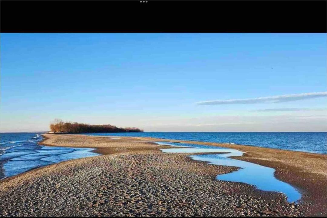 Photo of Human In Picture in Town of Essex
