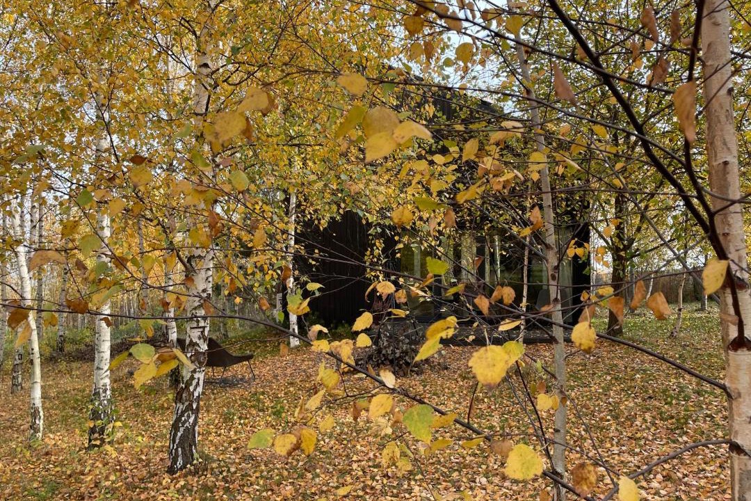 Photo of Outdoor in Pieszyce