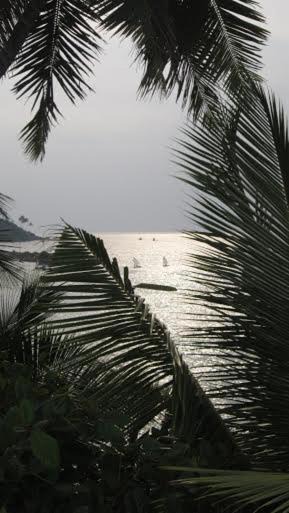 Photo of Others in Mirissa