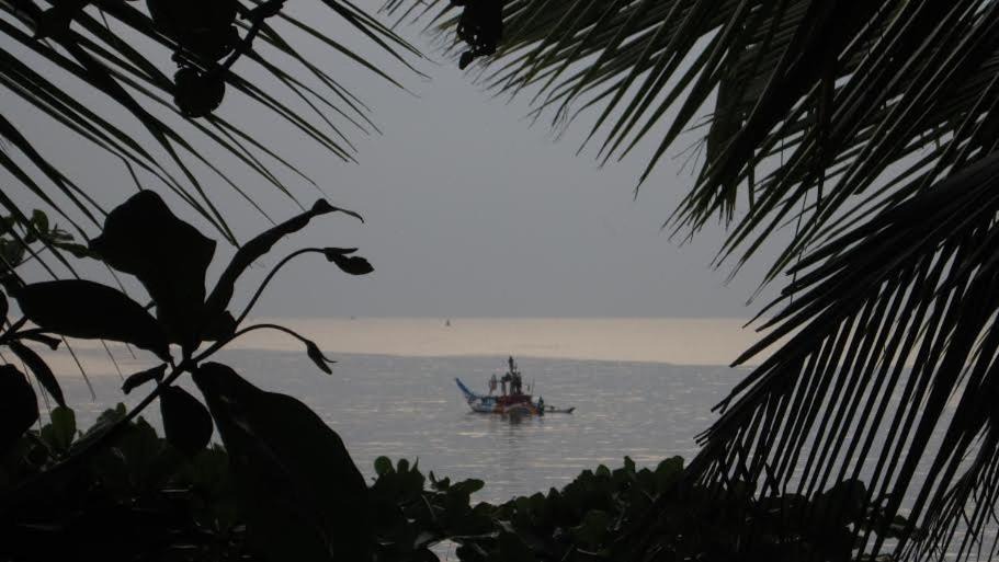 Photo of Others in Mirissa