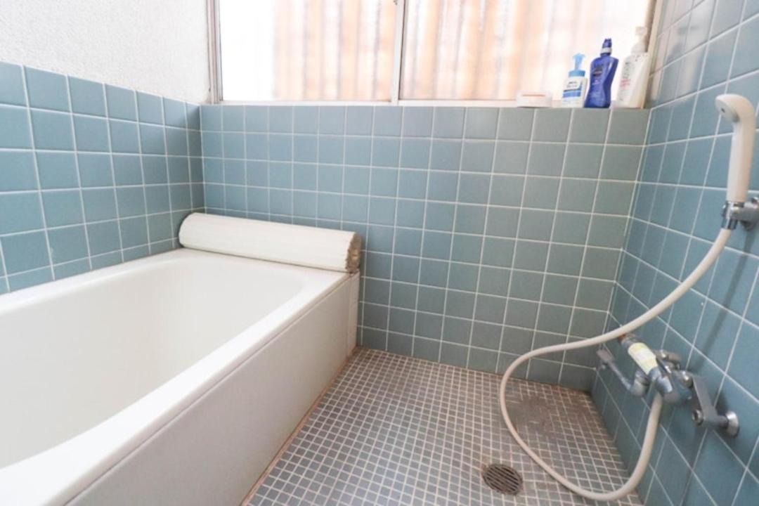 Photo of Bathroom in Niiza
