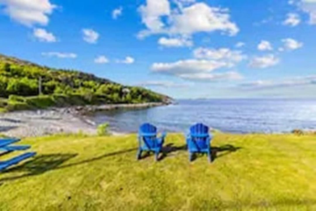 Photo of Others in Carbonear