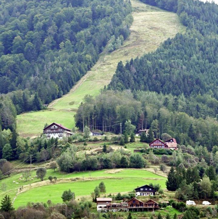 Photo of Others in Bussang