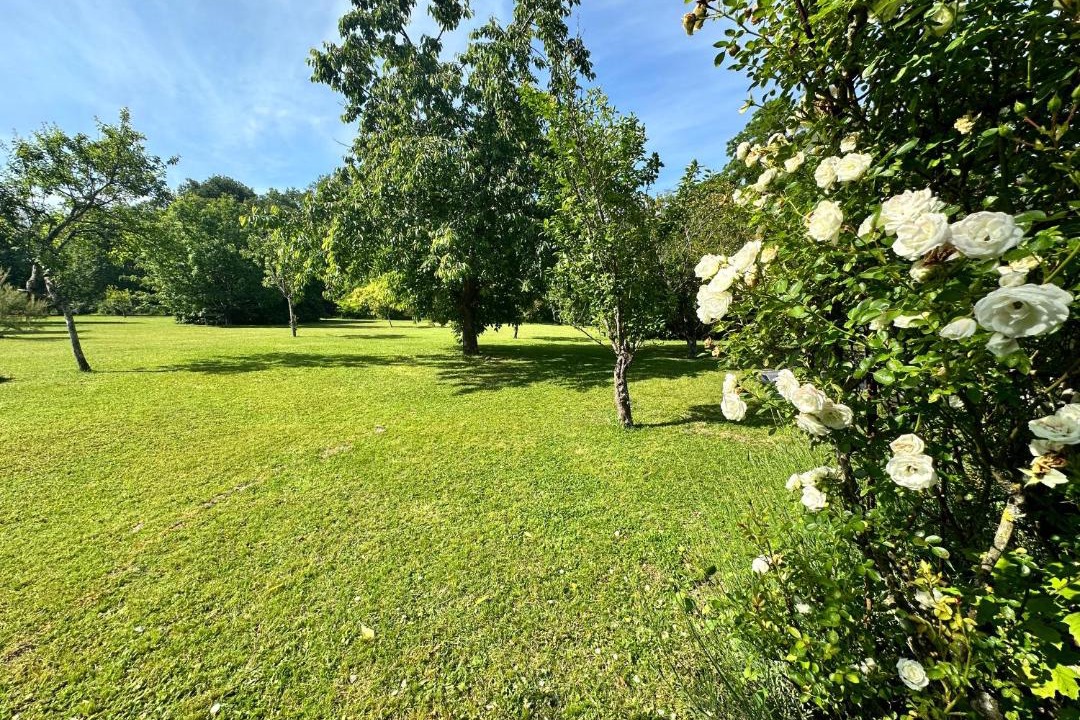 Photo of Outdoor in Civray-de-Touraine