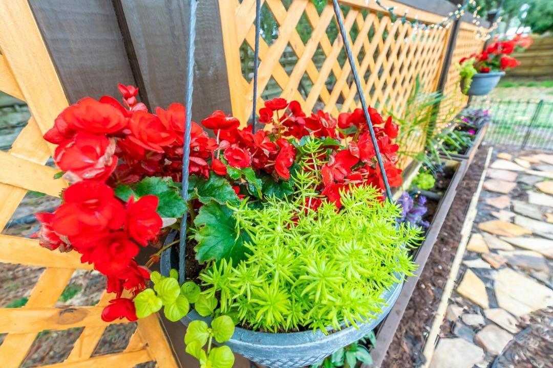 Photo of Patio Balcony in Indian Beach Sapphire Shores