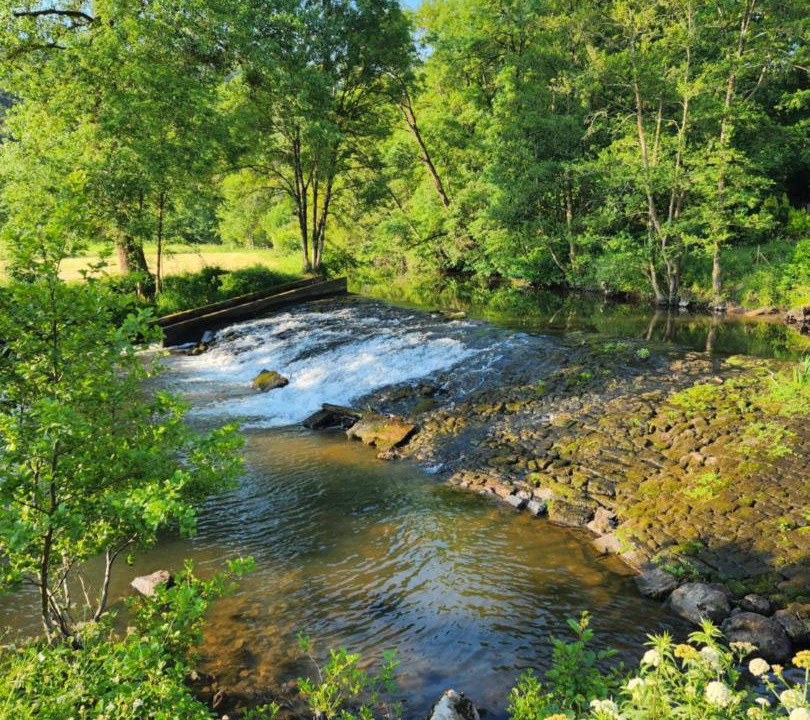 Photo of Others in Pont-Bellanger