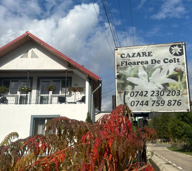 Photo of Others in Capatineni-Ungureni