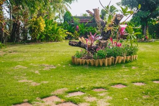 Photo of Outdoor in Centro