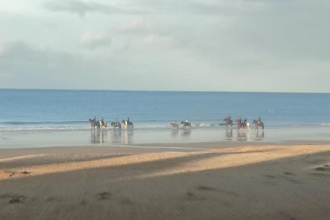 Photo of Others in Courseulles-sur-Mer