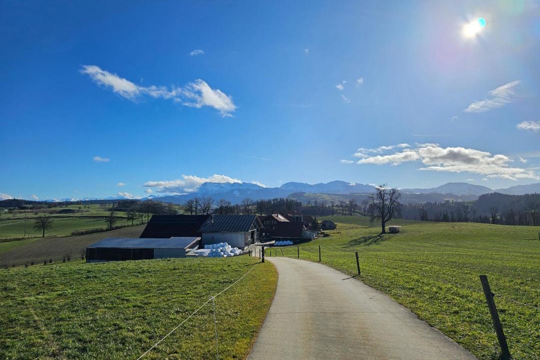 Photo of Others in Menznau