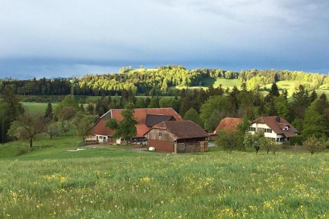Photo of Others in Ufhusen