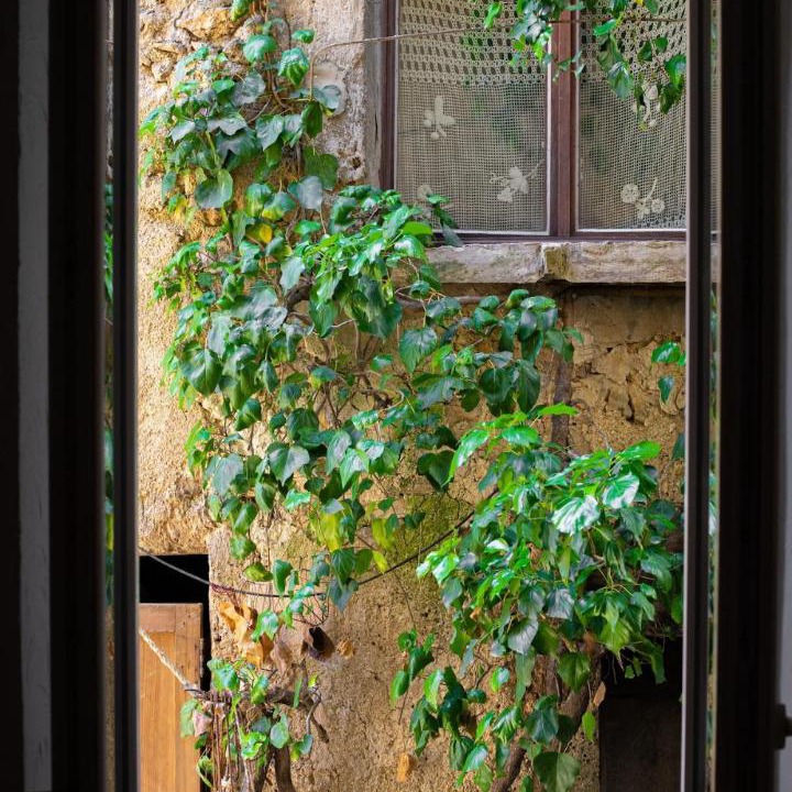 Photo of Others in Cotignac